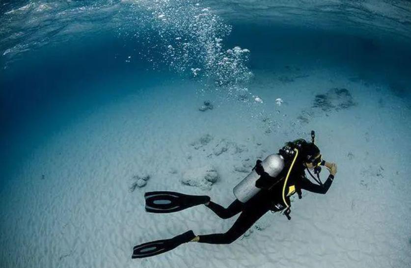 十大公路恐怖电影2025年排行榜前十名榜单出炉