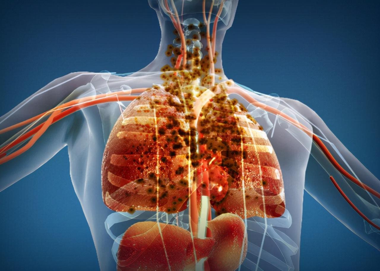 娱乐圈十大抽烟的女明星2025年排行榜前十名榜单出炉