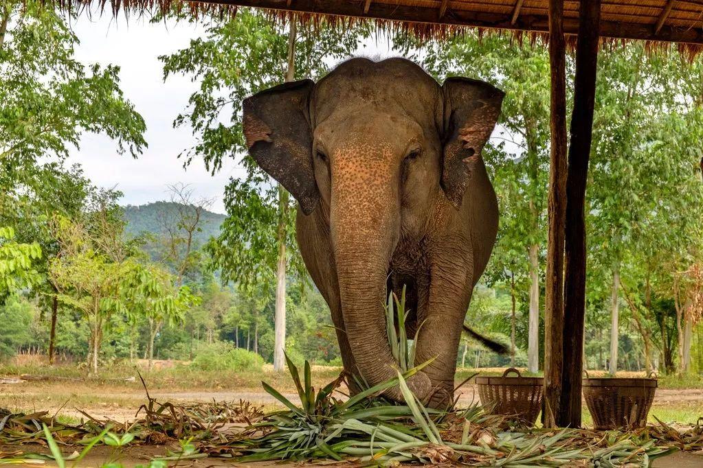 泰国十大最美海岛2025年排行榜前十名榜单出炉