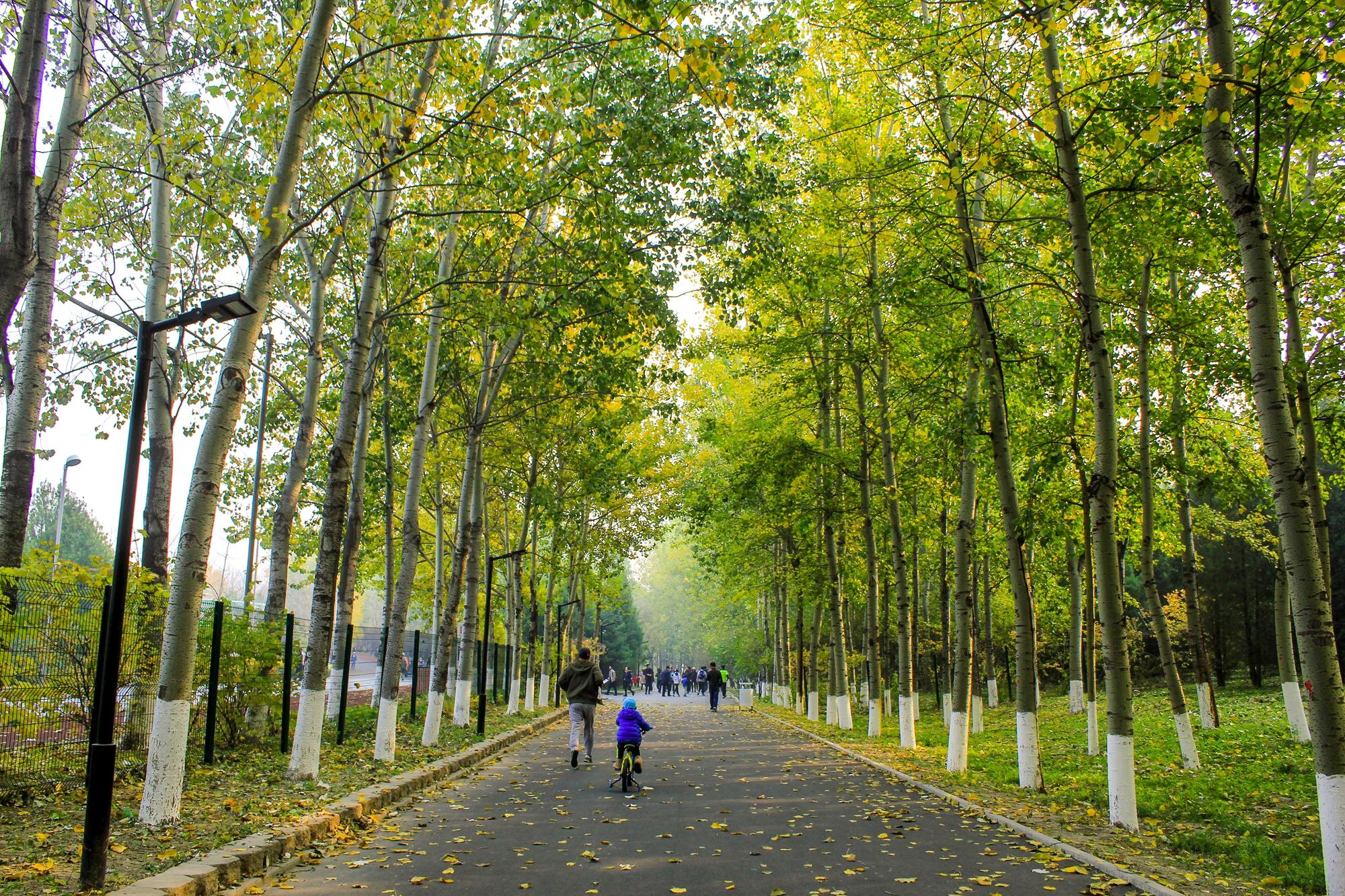 北京面积最大的森林公园2025年排行榜前十名榜单出炉