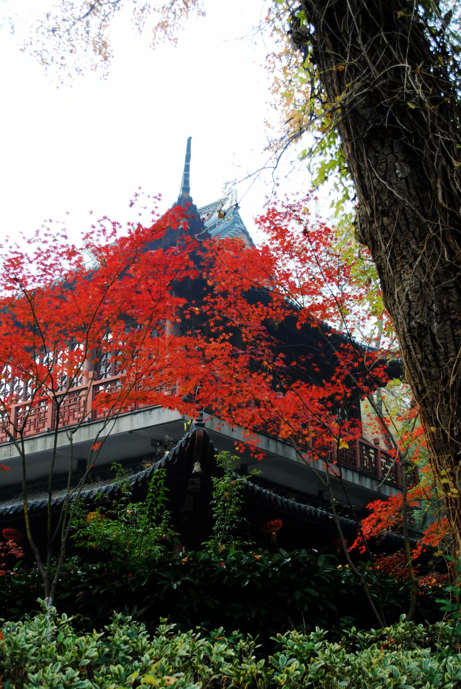 南京十大赏红叶好去处2025年排行榜前十名榜单出炉