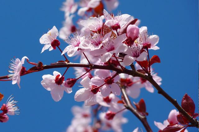 2022年北京海淀区必去景点2025年排行榜前十名榜单出炉