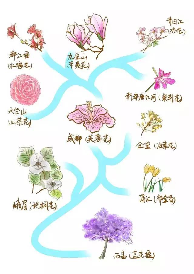 四川十大赏花胜地2025年排行榜前十名榜单出炉