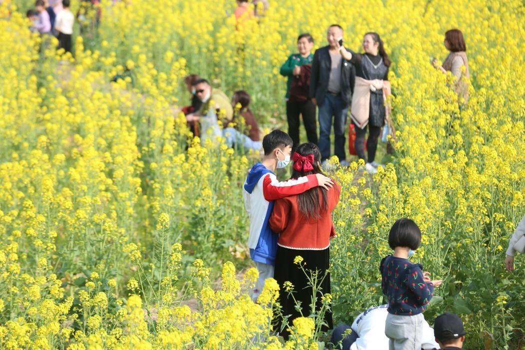 四川十大赏花胜地2025年排行榜前十名榜单出炉