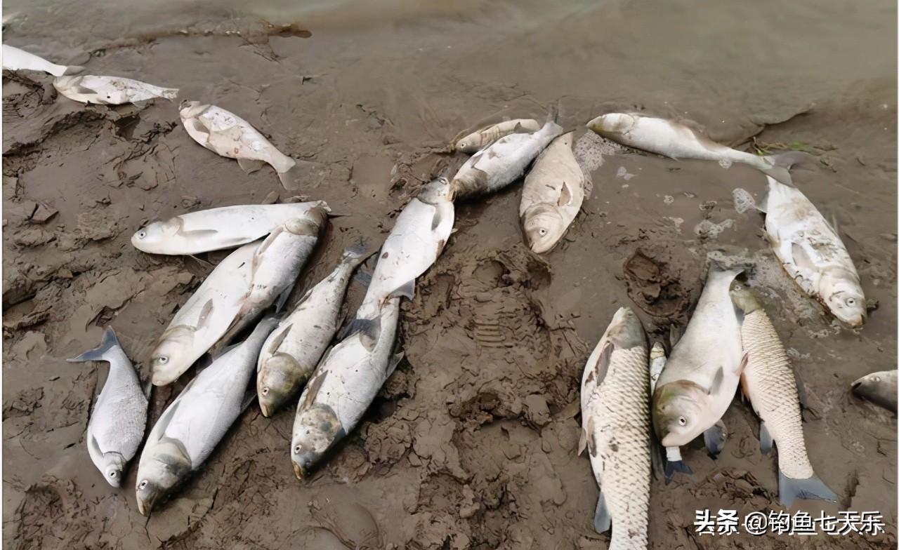 南京十大钓鱼好地方2025年排行榜前十名榜单出炉