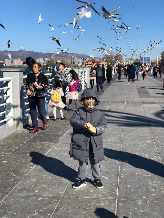 云南十大适合亲子旅游的地方2025年排行榜前十名榜单出炉