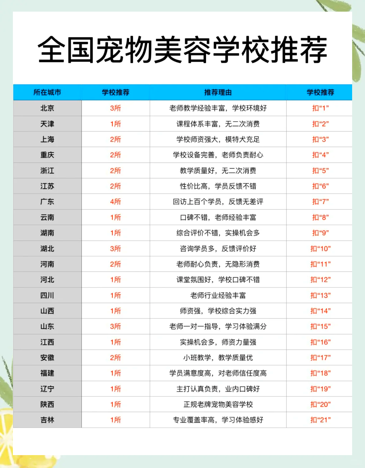 中国十大宠物美容培训学校2025年排行榜前十名榜单出炉