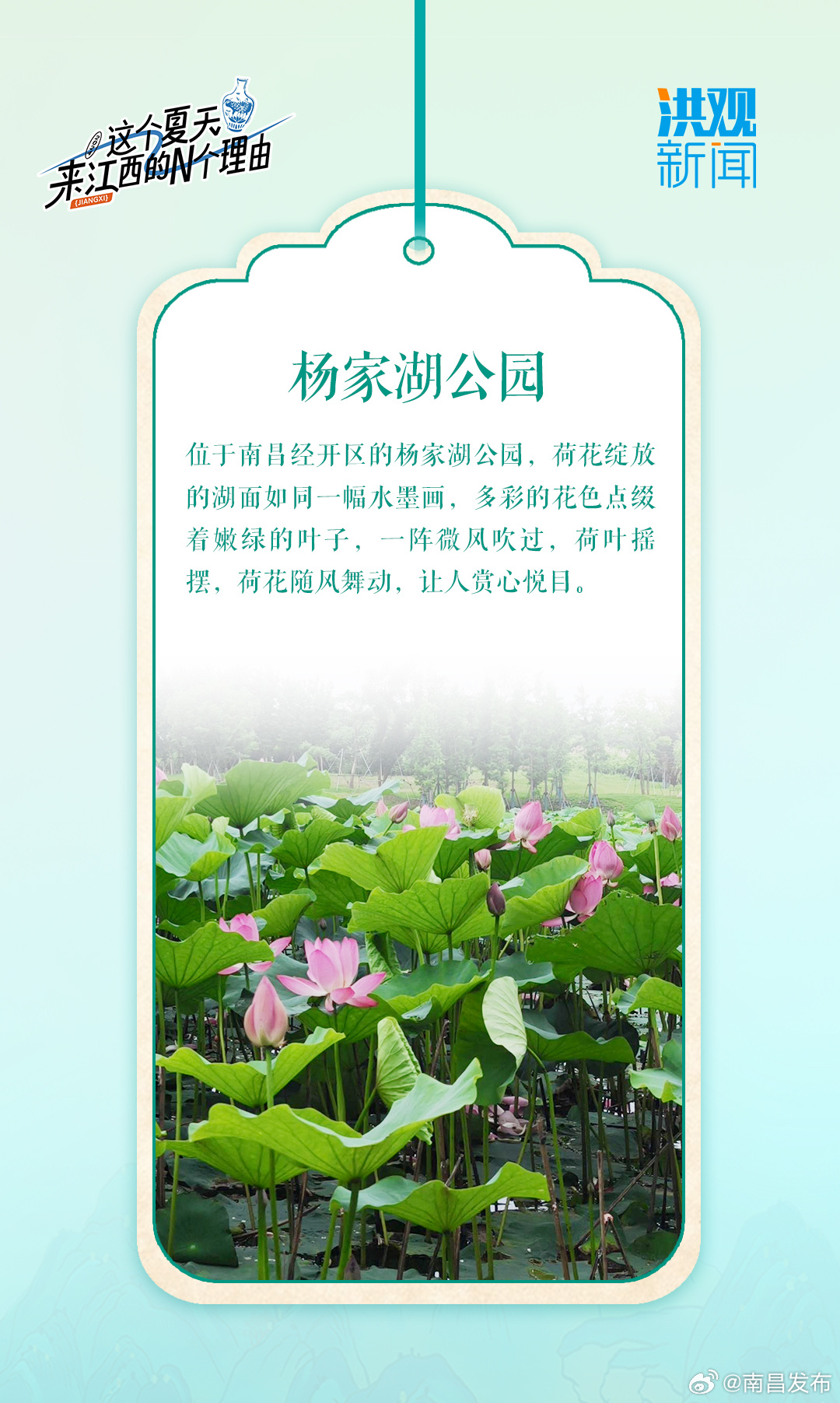 南昌十大赏荷花好去处2025年排行榜前十名榜单出炉