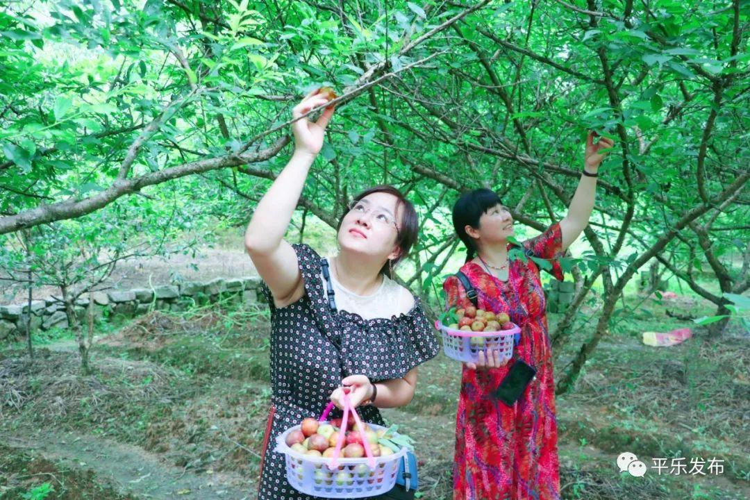 桂林十大家居建材市场2025年排行榜前十名榜单出炉