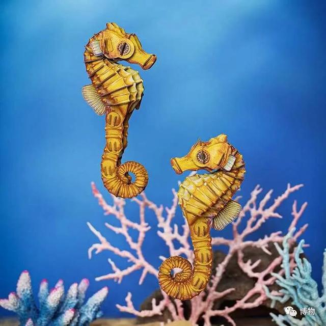 十大最漂亮的海马2025年排行榜前十名榜单出炉