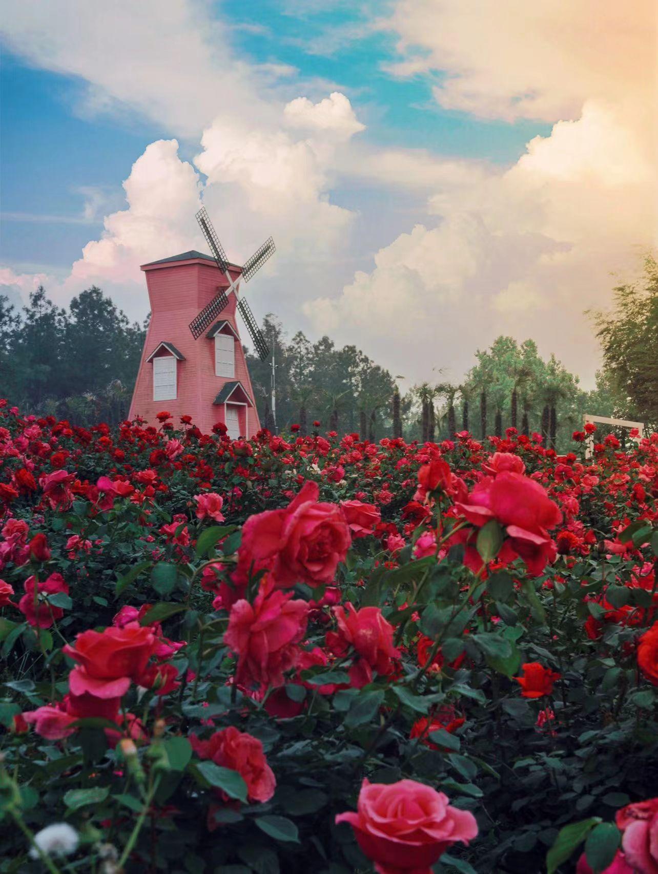 南京五一十大热门旅游景点2025年排行榜前十名榜单出炉