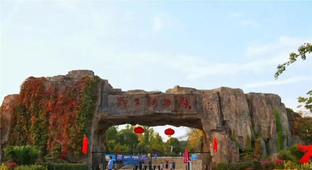 合肥十大网红景点2025年排行榜前十名榜单出炉 合肥十大网红景点2025年排行榜前十名榜单出炉