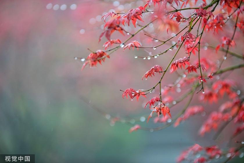 重庆十大秋季旅游好去处2025年排行榜前十名榜单出炉