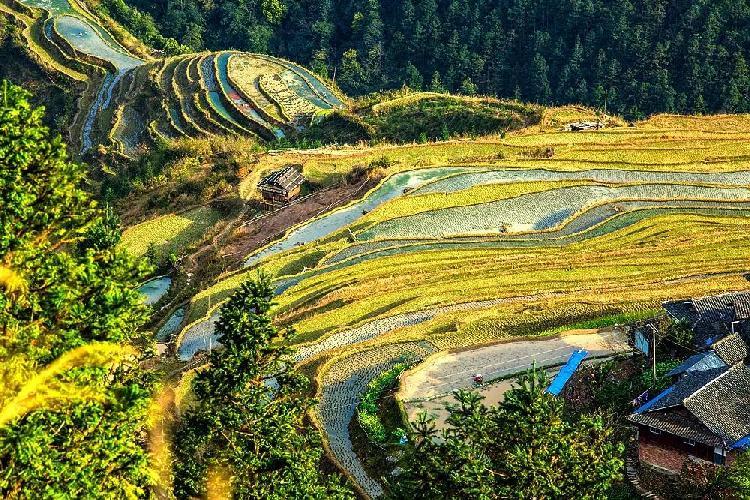 重庆十大秋季旅游好去处2025年排行榜前十名榜单出炉 重庆十大秋季旅游好去处2025年排行榜前十名榜单出炉