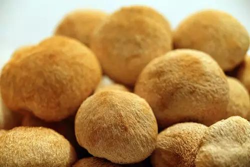 甘肃十大名菜2025年排行榜前十名榜单出炉