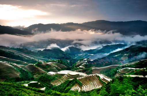 桂林漓江十大特产2025年排行榜前十名榜单出炉