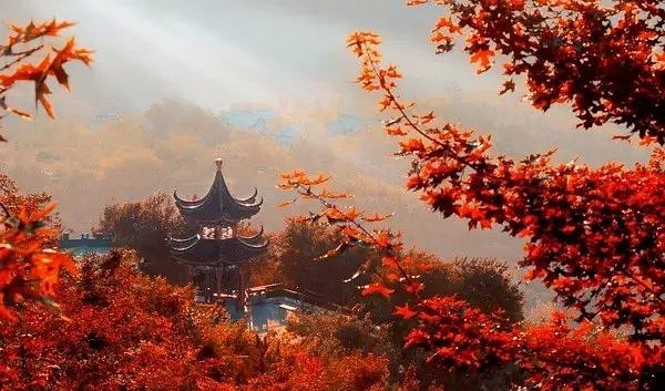 北京十大赏红叶好去处2025年排行榜前十名榜单出炉
