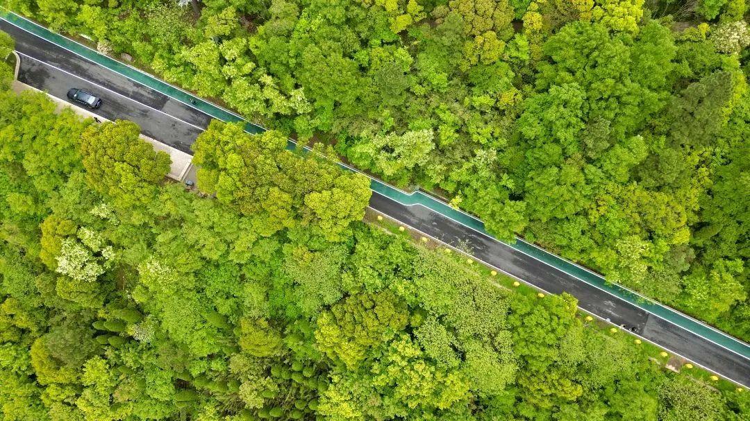 无锡十大免费景点2025年排行榜前十名榜单出炉