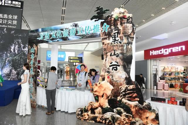 国外最经典的十大歌舞类电视剧2025年排行榜前十名榜单出炉