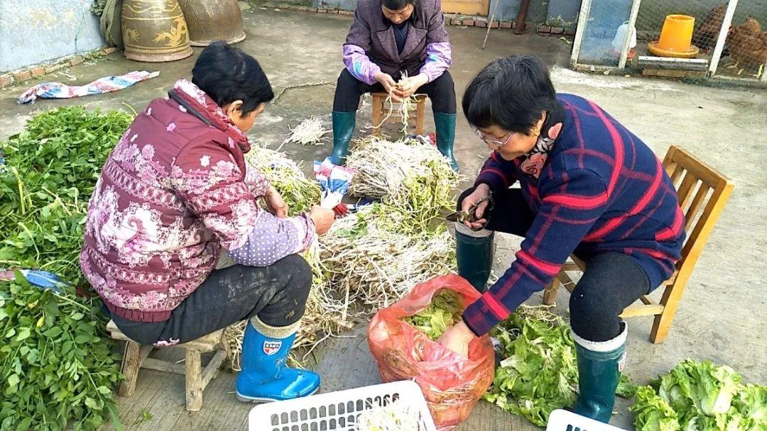 溧阳十大特产2025年排行榜前十名榜单出炉