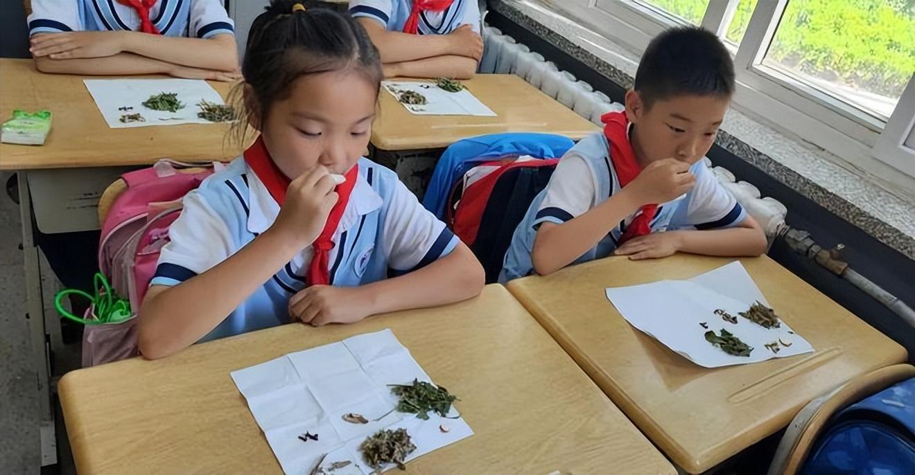 青岛十大适合端午旅游的地方2025年排行榜前十名榜单出炉