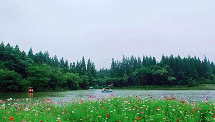 上海市崇明区十大著名旅游景点2025年排行榜前十名榜单出炉