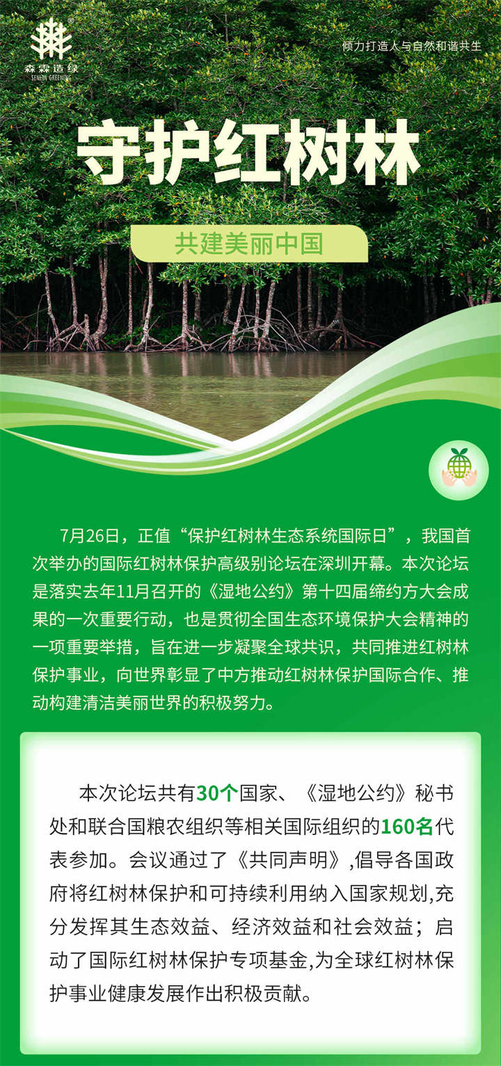 中国十大最美红树林2025年排行榜前十名榜单出炉