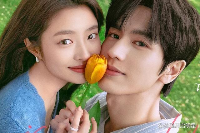 十大电视剧里的恋爱脑2025年排行榜前十名榜单出炉