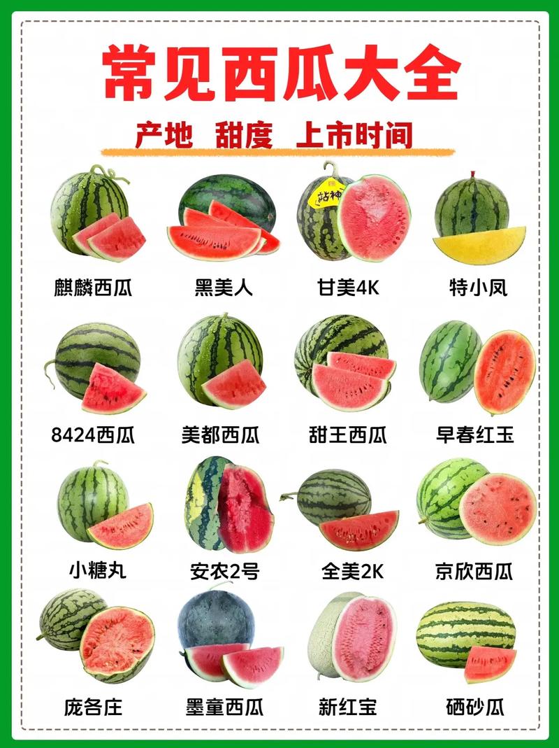 西瓜十大品种2025年排行榜前十名榜单出炉