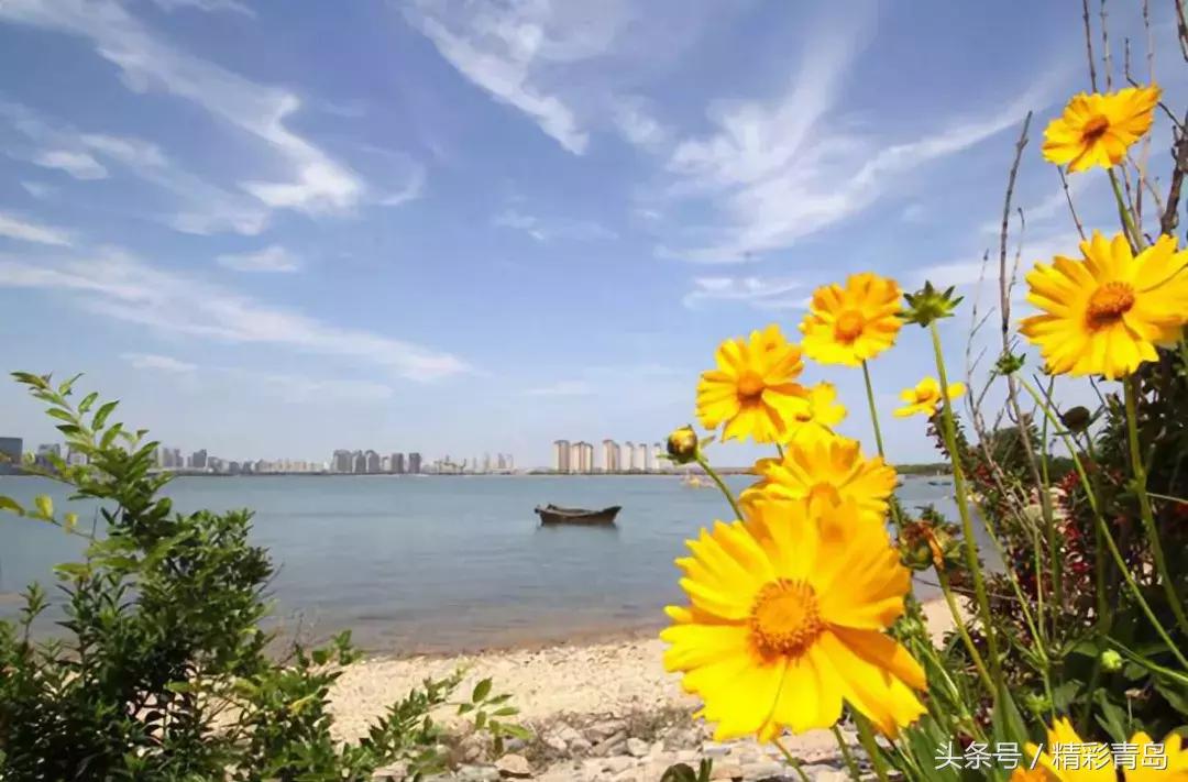 青岛十大最美赏月胜地2025年排行榜前十名榜单出炉