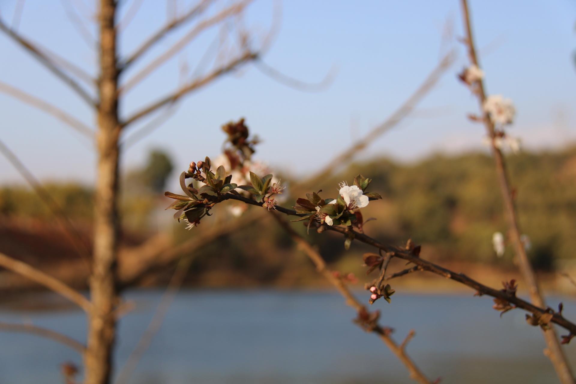 昆明十大度假山庄2025年排行榜前十名榜单出炉