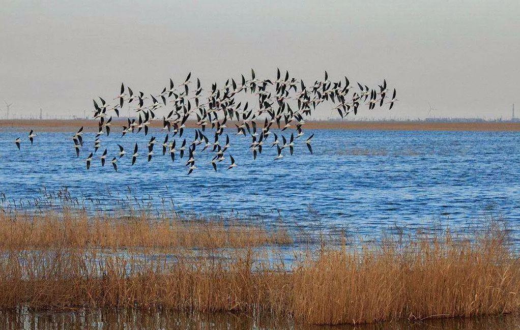 沧州十大最好玩的景点2025年排行榜前十名榜单出炉