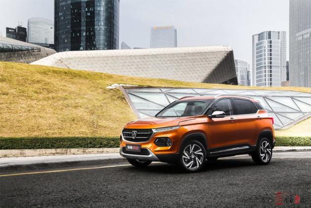 油桃十大品种2025年排行榜前十名榜单出炉