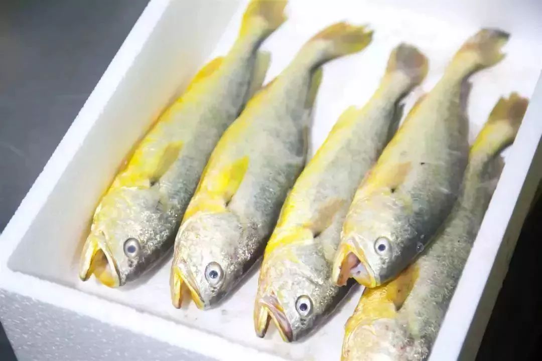 中国十大黄花鱼产地2025年排行榜前十名榜单出炉