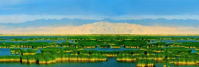 宁夏十大著名的湖泊2025年排行榜前十名榜单出炉