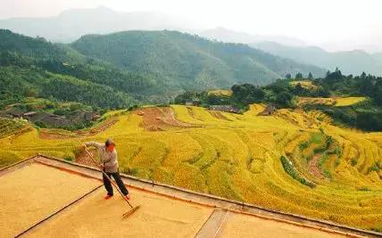 南平自然景观前十名2025年排行榜前十名榜单出炉