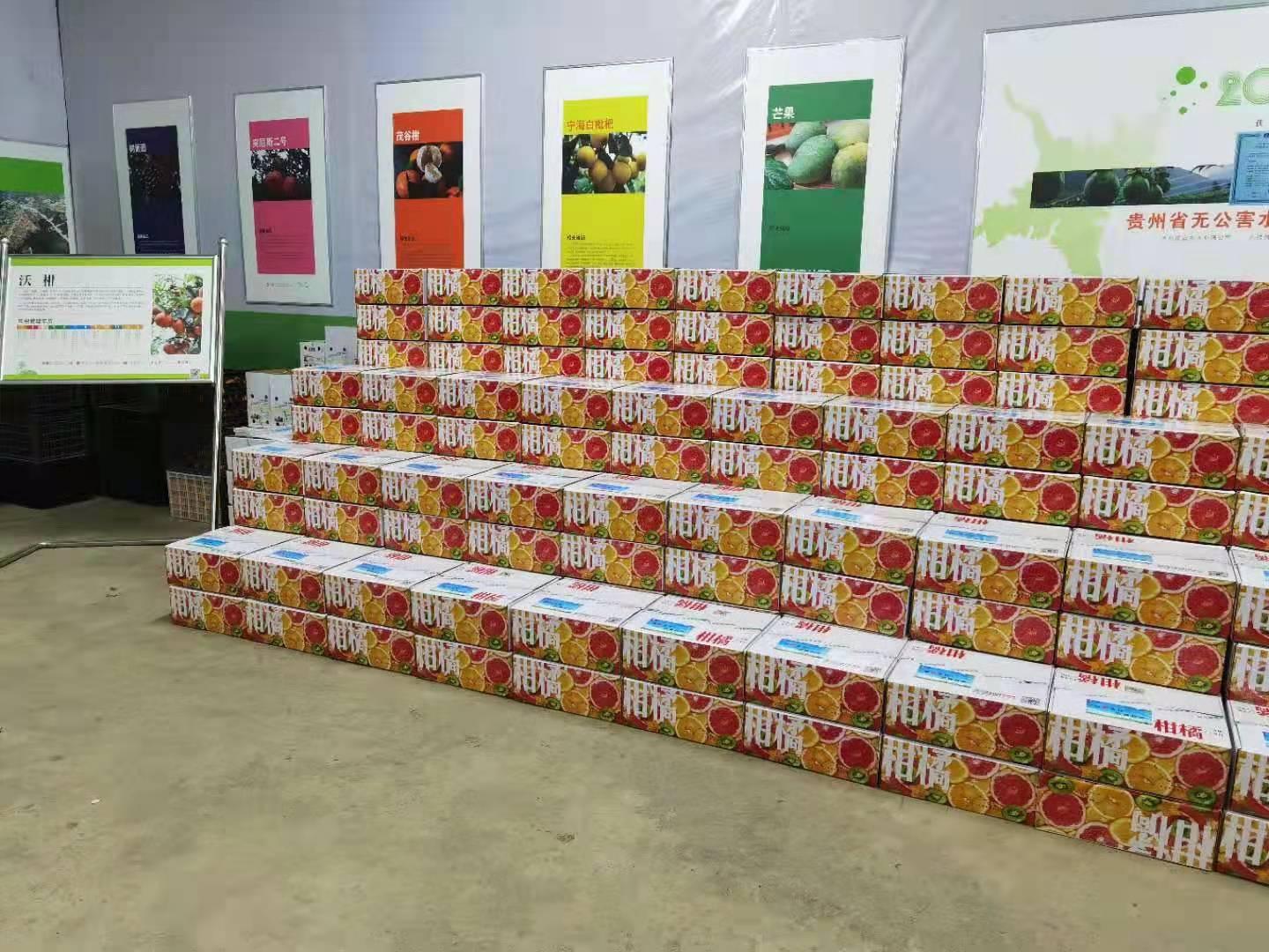 海南十大元旦旅游好去处2025年排行榜前十名榜单出炉