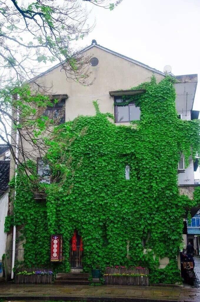 烟雨江南十大经典小说2025年排行榜前十名榜单出炉