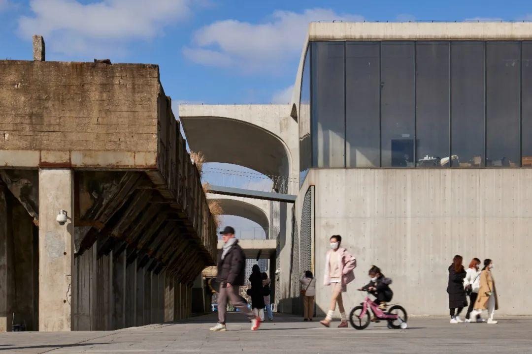 上海十大适合野餐的好地方2025年排行榜前十名榜单出炉