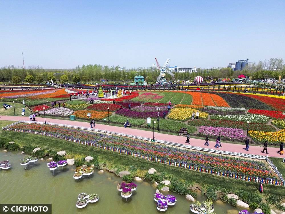 盐城大丰区十大最好玩的景点2025年排行榜前十名榜单出炉