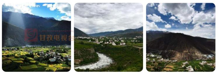 最耐放的10种水果2025年排行榜前十名榜单出炉