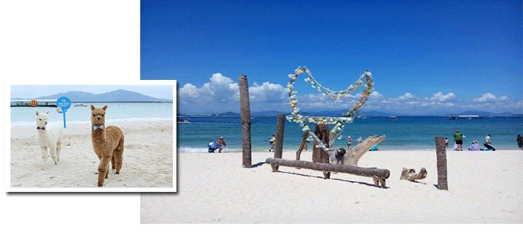 海南十大最美景点2025年排行榜前十名榜单出炉