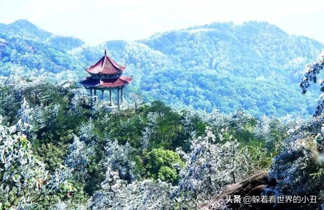 泉州十大冬季旅游好去处2025年排行榜前十名榜单出炉