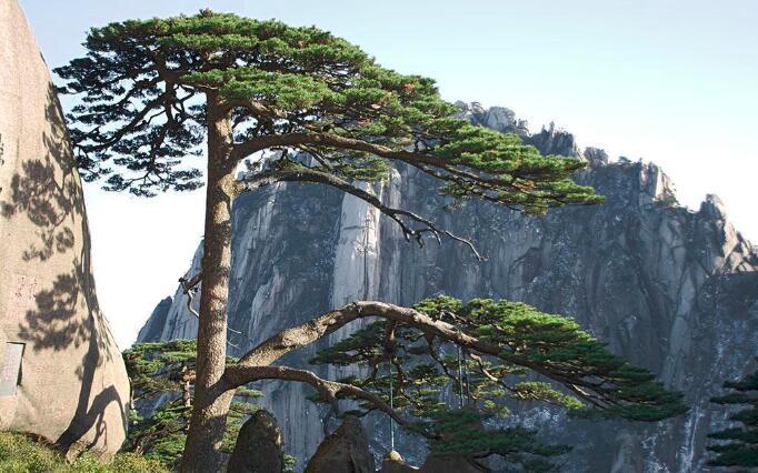 安徽十大名山2025年排行榜前十名有哪些