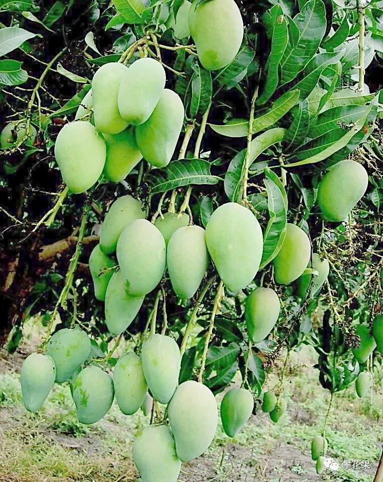 攀枝花十大夏季旅游好去处2025年排行榜前十名榜单出炉