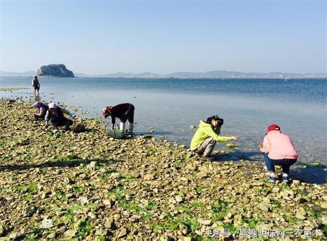 辽宁十大最适合赶海的地方2025年排行榜前十名榜单出炉