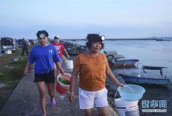 海南十大最适合赶海的地方2025年排行榜前十名榜单出炉