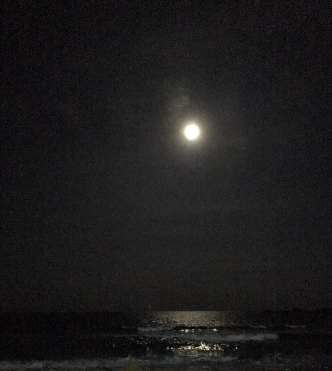 深圳十大最美赏月胜地2025年排行榜前十名榜单出炉 深圳十大最美赏月胜地2025年排行榜前十名榜单出炉