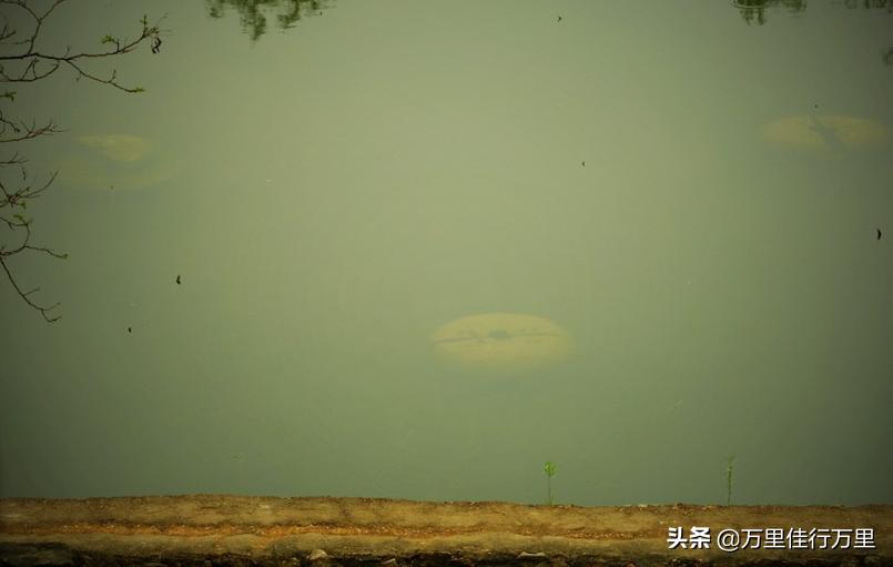 厦门市湖里区十大著名旅游景点2025年排行榜前十名榜单出炉