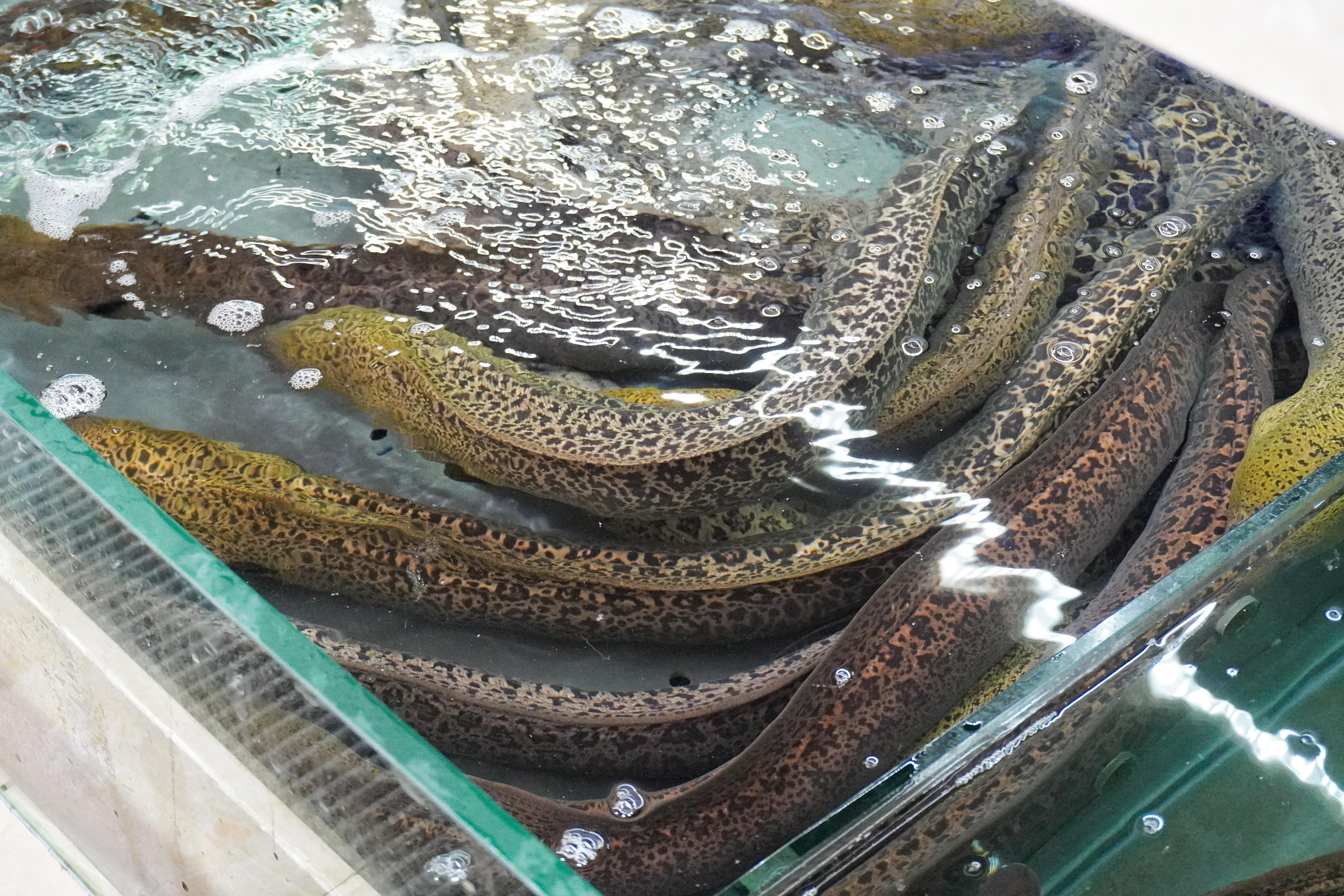 昆明十大批发市场2025年排行榜前十名榜单出炉 昆明十大批发市场2025年排行榜前十名榜单出炉